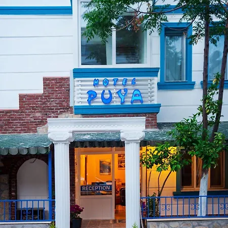Puya Hotel 3*